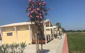 Vento Etrusco